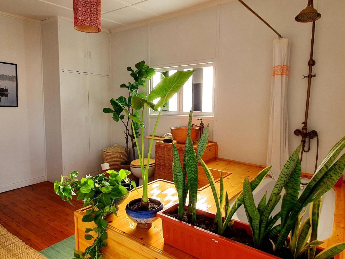 Houseboat65 - Historic Home On The Nile - Central Cairo Exterior foto